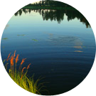 Кристина Шевелёва