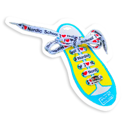 Шнурки с символикой NS